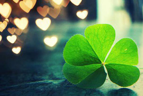 Muốn biết 'đức vơi hay đầy' hãy nhìn chữ 'nhẫn' còn 'phúc mỏng hay dày' thì phải làm sao?