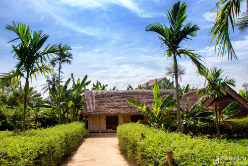 Bình yên những mái nhà tranh nơi quê Bác