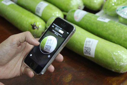 'Cửa mở' cho doanh nghiệp sản xuất nông nghiệp trong tâm dịch Covid-19