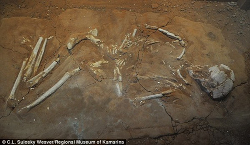 Phát hiện mới về nỗi sợ của người Hy Lạp cổ