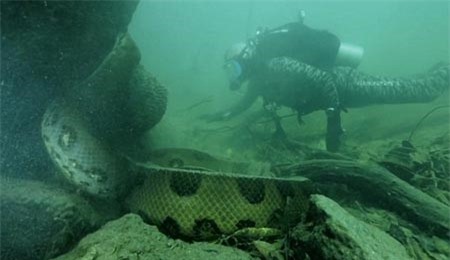 Lý giải về các