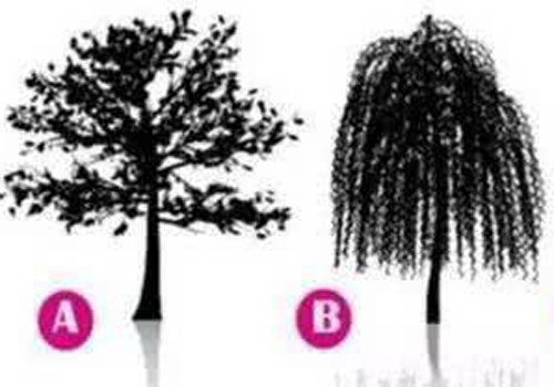 Trắc nghiệm: Ai là người đang khiến bạn trăn trở và bận tâm nhất?