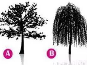 Trắc nghiệm: Ai là người đang khiến bạn trăn trở và bận tâm nhất?