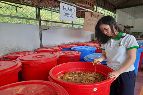 Người biến vỏ trái cây thành nước tẩy rửa