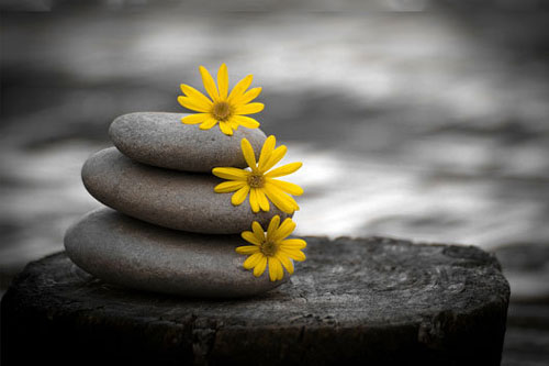 3 việc ở đời càng ích kỷ càng sướng