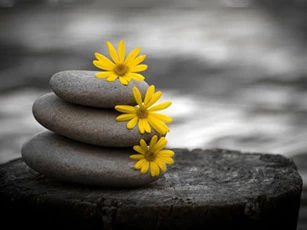 3 việc ở đời càng ích kỷ càng sướng