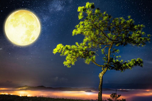 Ngày Rằm phạm phải những điều cấm kỵ này gia chủ dễ tán gia bại sản, tiền bạc không cánh mà bay