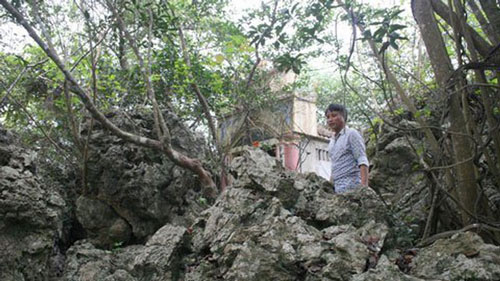 Câu chuyện kỳ bí về chùa Trinh Tiết và hòn đá tự lớn tại Hà Nam