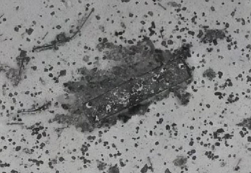 Phát hiện nghĩa địa tàu bí ẩn ở vùng tìm kiếm MH370