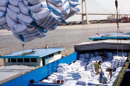 Dự báo giá gạo xuất khẩu tiếp tục tăng (Ảnh: Internet) 