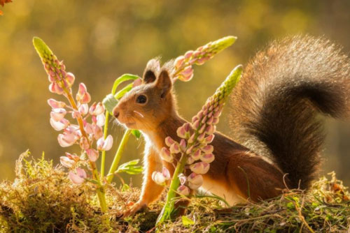 Đây là cách tốt nhất để dễ có tương lai tốt đẹp