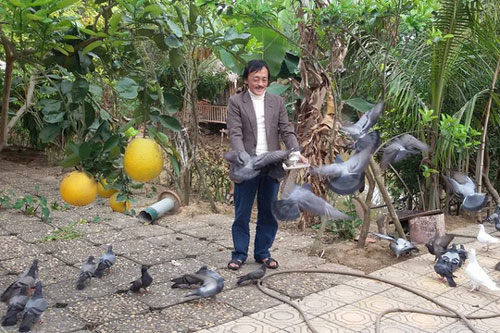 Nhà vườn 10.000m2 của nghệ sĩ Giang còi ngập hoa và trái cây