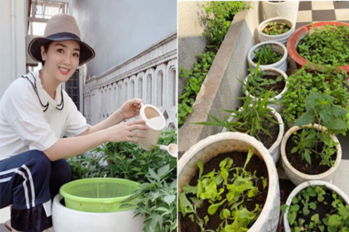 Khu vườn rau sạch trong biệt thự của Hoa hậu Đền Hùng - Giáng My