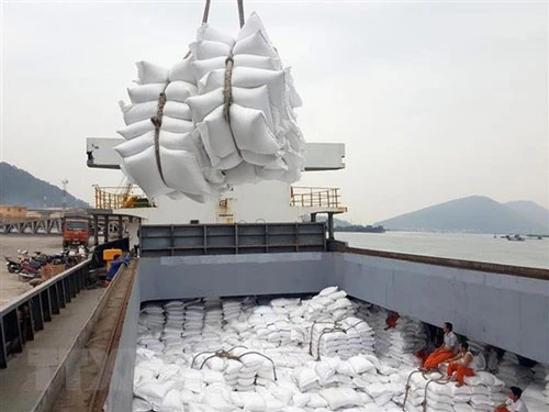 Bốc xếp gạo xuất khẩu tại cảng Cửa Lò (Nghệ An). (Ảnh: TTXVN)