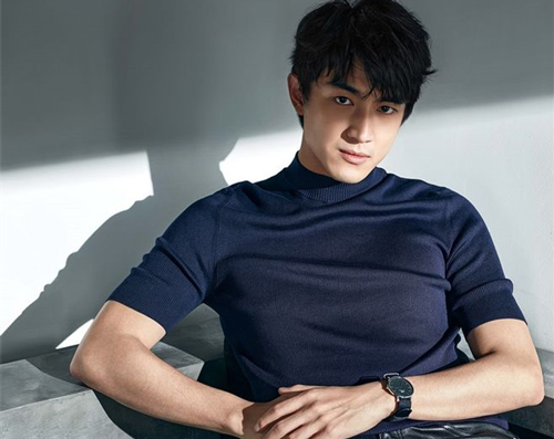 Nếu không 'dấn thân' vào giới giải trí thì những sao nam Hoa ngữ này sẽ 'bén duyên' với nghề gì?