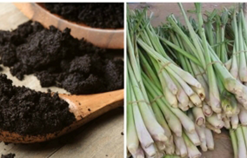 Đổ chút giấm vào nhà vệ sinh, 1 giờ đồng hồ sau điều kỳ diệu sẽ xảy ra