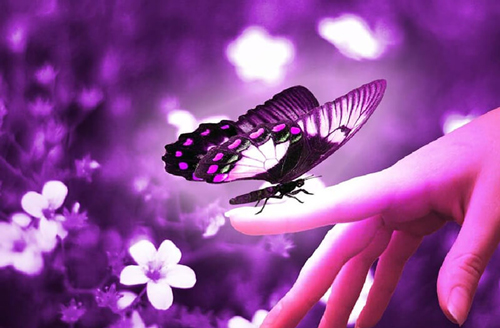 Bất ngờ nhận được những điều 'đặc biệt' này chứng tỏ Thần Tài 'ghé thăm', bạn có cơ hội trúng số 'đổi đời'