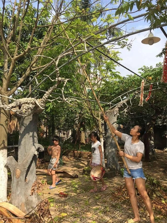 Nhà vườn 10.000m2 của nghệ sĩ Giang còi ngập hoa và trái cây - Ảnh 26.