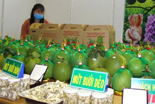 Xuất khẩu rau quả bao giờ qua 'cơn bĩ cực'?