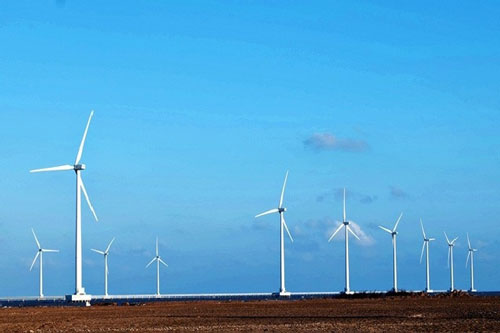 Chiều hè trên cánh đồng điện gió Bạc Liêu - điểm đến để ‘sống ảo’