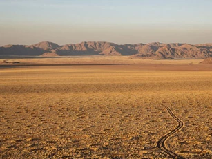 Top 10 bí ẩn lớn nhất trên sa mạc vẫn chưa được các nhà khoa học giải mã