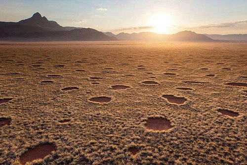 Vòng tròn trên sa mạc Namib.