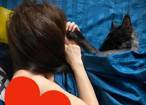 Trấn Thành nổi giận vì bị "kẻ thứ 3" chiếm chỗ ngủ cạnh bà xã Hari Won