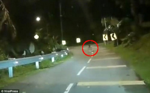 "Dựng tóc gáy" trước cảnh người lái xe ghi được hình ảnh "bóng ma" ngồi trên đường