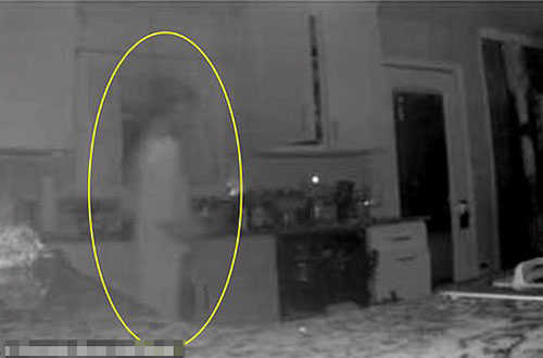 Kiểm tra camera người phụ nữ tưởng có người lạ vào nhà, ai ngờ nhìn kĩ mới phát hiện điều hoảng hồn