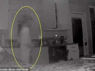 Kiểm tra camera người phụ nữ tưởng có người lạ vào nhà, ai ngờ nhìn kĩ mới phát hiện điều hoảng hồn