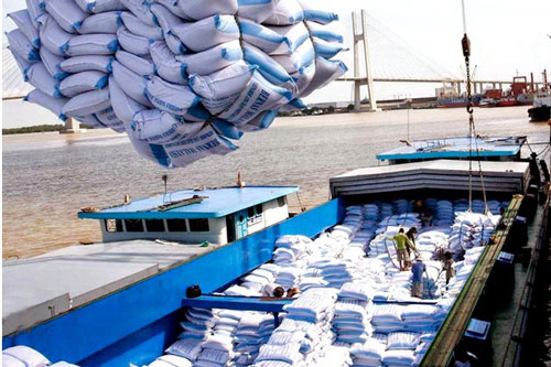 Kiến nghị dừng xuất khẩu gạo cấp thấp để thực hiện dự trữ quốc gia