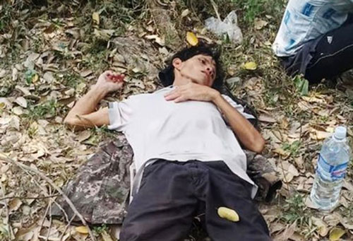 Bình Định: 4 người đi tìm mật ong rừng, mưu trí bắt nghi phạm giết người bị truy nã