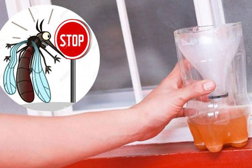 Mẹo khiến muỗi chết cả đàn chỉ với một lon bia và bột giặt, không cần hóa chất độc hại