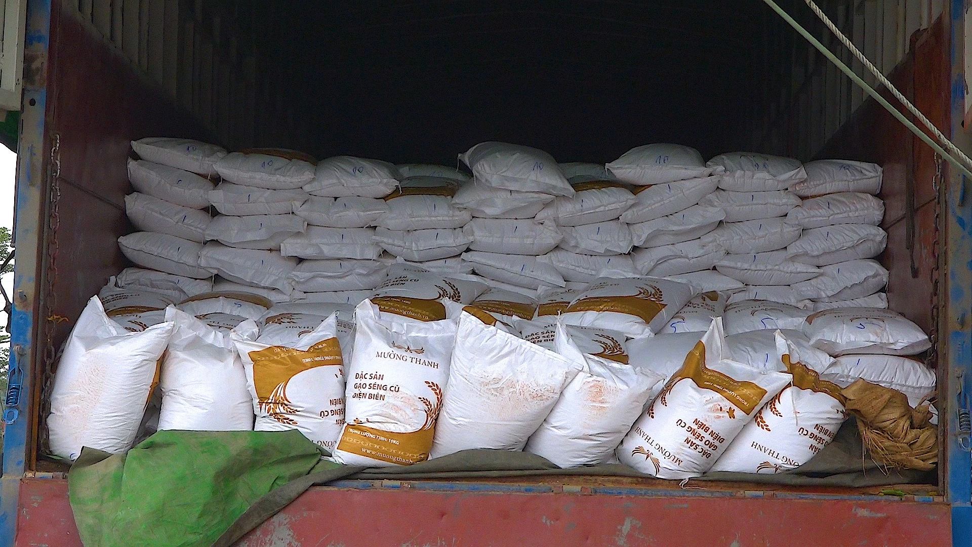 Xe vận chuyển 100 tấn gạo của Tập đoàn Mường Thanh ủng hộ phòng dịch