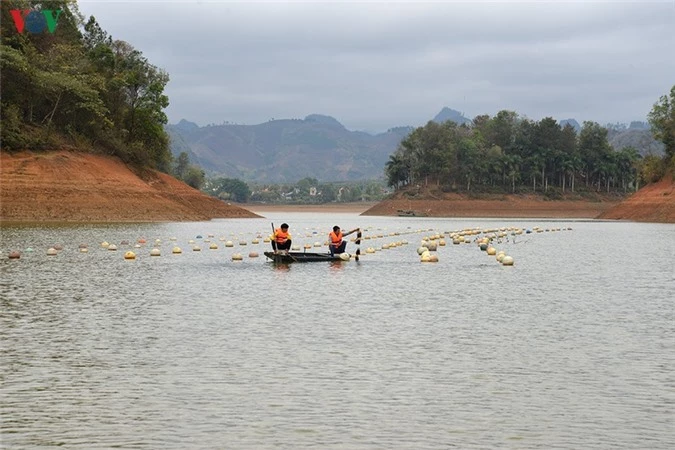 8x son la sang tao, thu tien ty tu mo hinh nuoi cay ngoc trai hinh 1