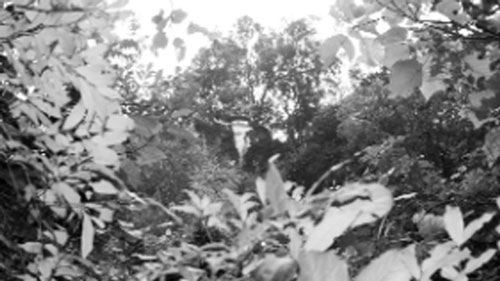 Vua áo đen là ai?