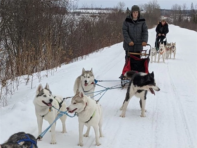 Cô gái sử dụng đàn chó kéo xe trượt tuyết để giao hàng cho người cao tuổi, giúp họ khỏi phải ra ngoài mua sắm - Ảnh 4.