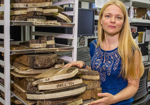 "Bóng ma" trong cây thông cổ tiết lộ bí ẩn đế chế 3.600 tuổi