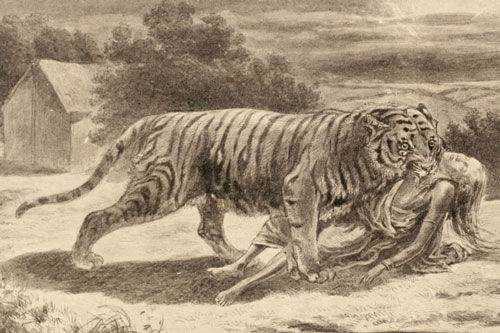 Khám phá về hổ cái Champawat: ‘Sát thủ giết và ăn thịt hơn 400 người’