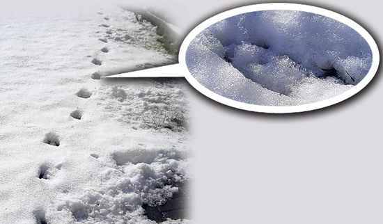 Dấu chân của quỷ: Bí ẩn rùng rợn