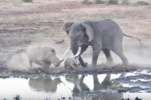 Quảng Ninh: Phạt tù người không đeo khẩu trang và có hành động chống đối người thi hành công vụ
