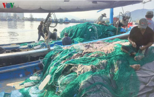 Giá hải sản giảm mạnh, ngư dân gặp nhiều khó khăn