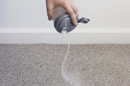 Mẹo khử mùi ẩm mốc từ thảm do trời nồm, mưa chỉ bằng baking soda