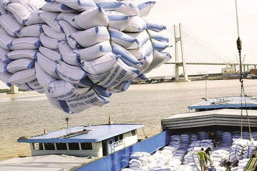 Bộ Tài chính kiến nghị cho xuất khẩu gạo nếp, tạm dừng xuất gạo tẻ đến 15/6 (Ảnh Internet)