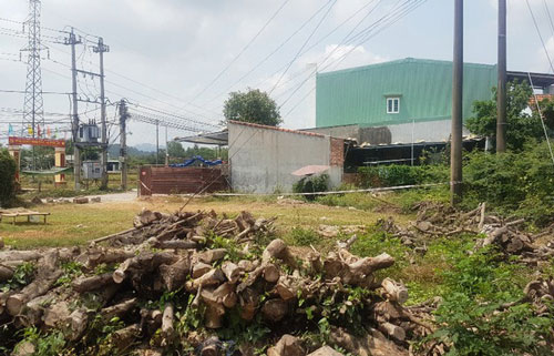 Bình Định: Phát hiện thi thể ở bãi đất trống gần nhà dân