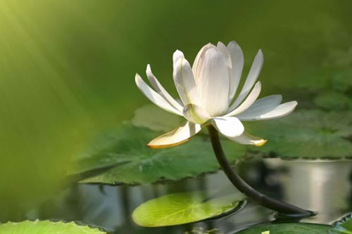 Nhân sinh có 3 thứ không cách nào giữ lại được