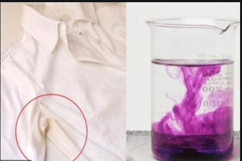 Áo trắng ngả vàng đem ngâm với thuốc tím, bạn sẽ thấy điều kỳ diệu xảy ra