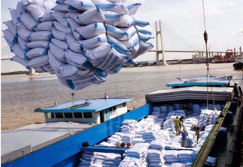 Thủ tướng cho phép xuất khẩu gạo trở lại trong tháng 4 (Ảnh: Internet)