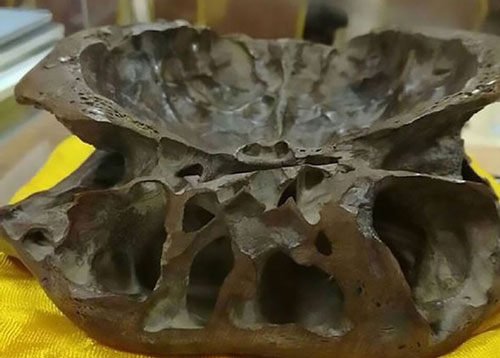 Thực hư chuyện hộp sọ người ngoài hành tinh xuất hiện tại Trung Quốc