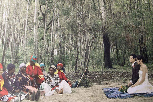 Ngô Ngạn Tổ tiết lộ lý do kết hôn trong rừng ở Nam Phi 10 năm trước